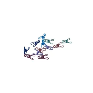 Set 12 Cârlige de Rufe Metalice – Cleme Colorate Rezistente, Pentru Uscarea Hainelor, Interior și Exterior