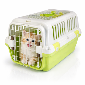 Cutie Transport Animale 55×36×35 cm – Cușcă Transport pentru Câini și Pisici, Ușă Metalică, Ventilație Laterală și Mâner Superior