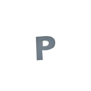 Literă Metalică Autoadezivă DUOGUO – P, 80 mm, Inox Periat, Fără Găurire, Rezistentă la Exterior