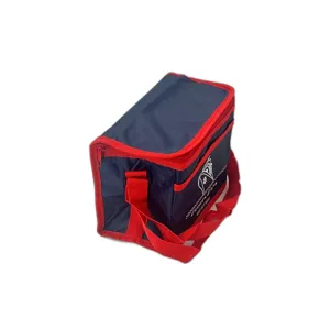 Geantă Termoizolantă Compactă și Portabilă – Capacitate 10L, Material Izolator Eficient, Ideală pentru Picnic, Birou și Călătorii, Disponibilă în Albastru și Roșu