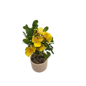 Ghiveci Decorativ cu Flori Artificiale Primula Galbene, 10 x 27 cm, Aranjament Floral cu Frunze Verzi, Ideal pentru Decorarea Casei, Biroului și Spațiilor Interioare