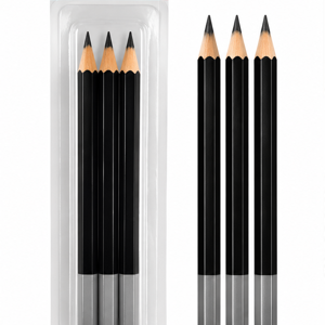 Set 3 Creioane Grafit 2B, Corp Hexagonal, pentru Scris, Desen și Schițe, Negru-Gri