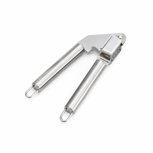 Zdrobitor Usturoi din Inox 19.5 x 5 x 3 cm, Presă Manuală Ergonomică, Rezistent la Coroziune, Ușor de Curățat, Pentru Bucătărie și Gătit Rapid
