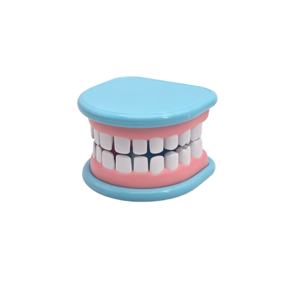 Set Jucării Stomatologie pentru Copii, Model Dinți și Accesorii Dentare Educative