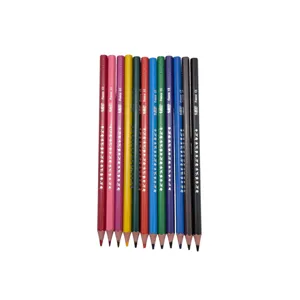 Set 12 Culori BIC LEGEND – Set de Instrumente pentru Colorat, Ideal pentru Școală, Birou, Desen și Activități Creative