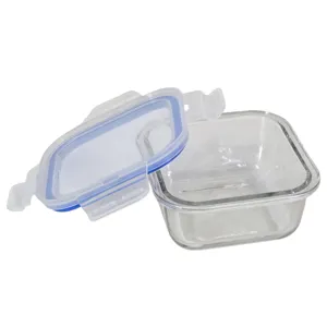 CASEROLĂ PĂTRATĂ DIN STICLĂ 310 ML GREENAPPLE DELISOGA CU CAPAC ETANȘ PENTRU DEPOZITAREA ȘI PĂSTRAREA ALIMENTELOR